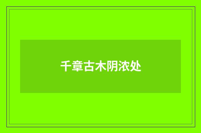 千章古木阴浓处