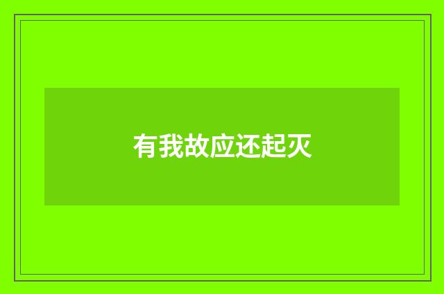 有我故应还起灭