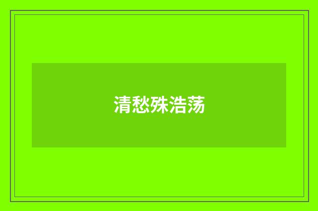 清愁殊浩荡