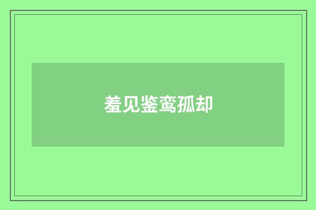 羞见鉴鸾孤却