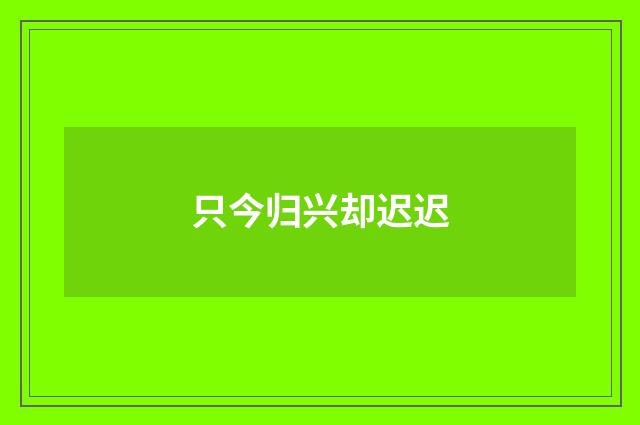 只今归兴却迟迟