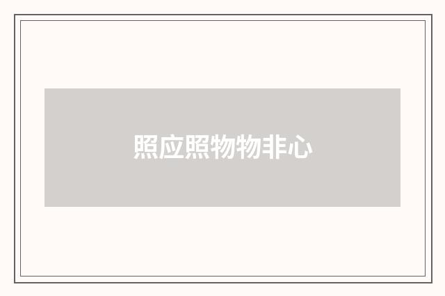照应照物物非心