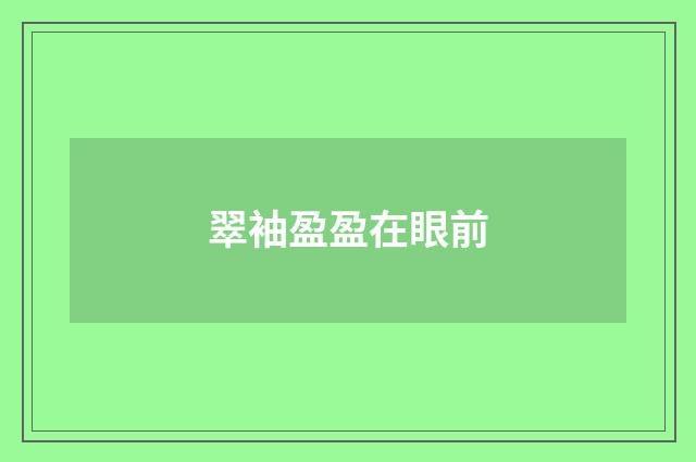 翠袖盈盈在眼前