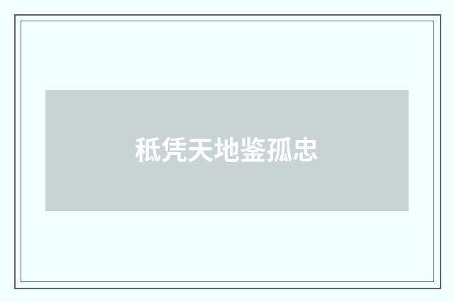 秪凭天地鉴孤忠