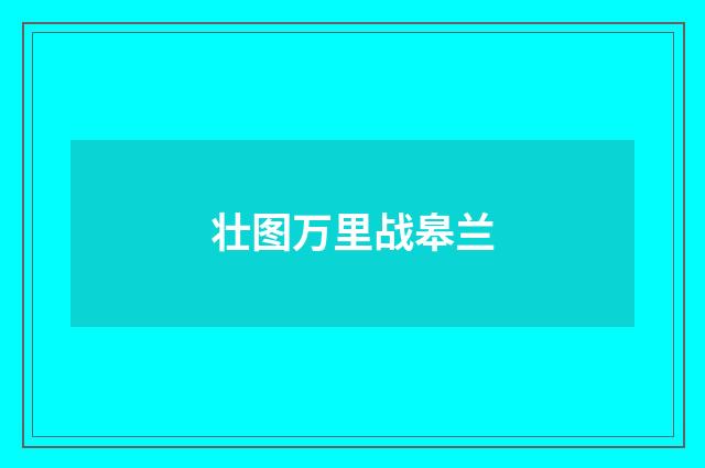 壮图万里战皋兰