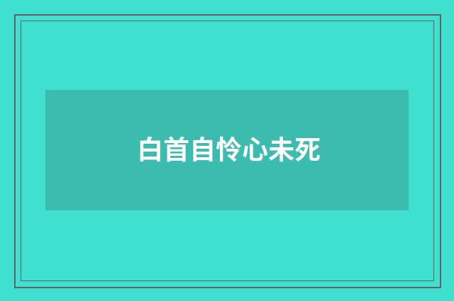 白首自怜心未死