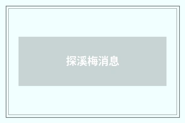 探溪梅消息