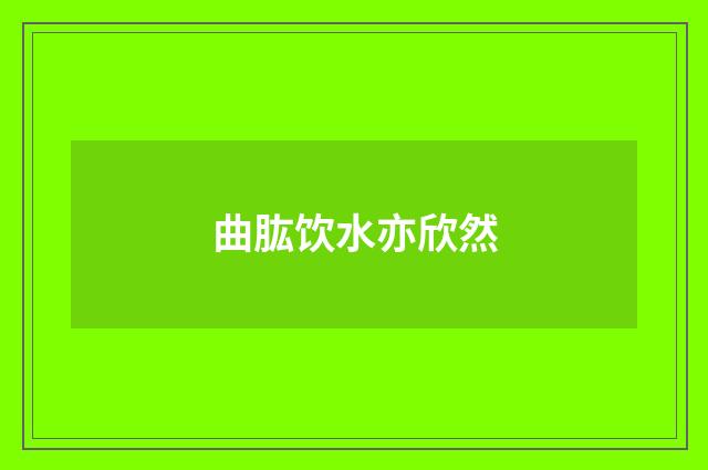 曲肱饮水亦欣然