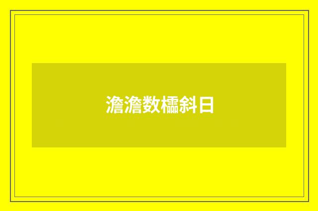 澹澹数櫺斜日