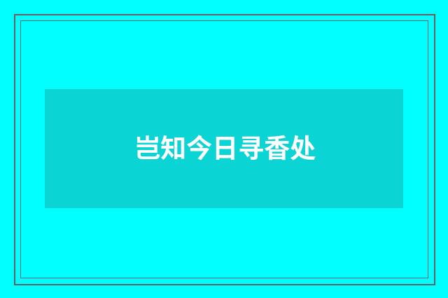 岂知今日寻香处