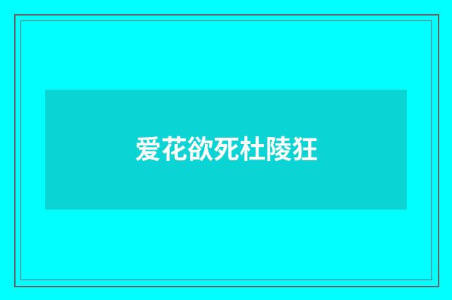 爱花欲死杜陵狂