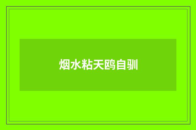 烟水粘天鸥自驯