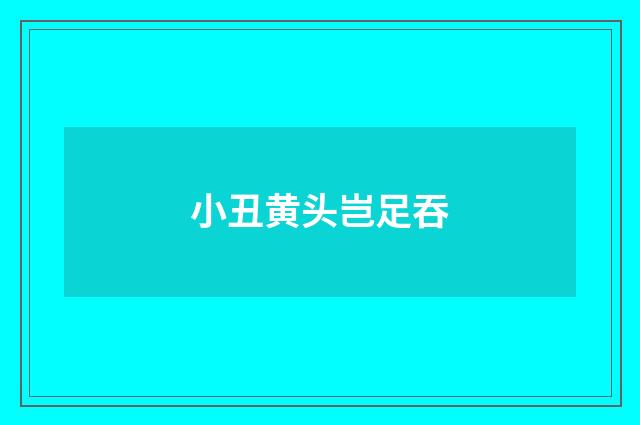 小丑黄头岂足吞