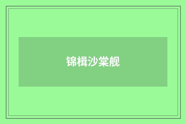 锦楫沙棠舰