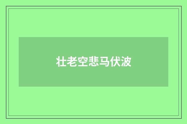 壮老空悲马伏波