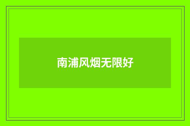 南浦风烟无限好
