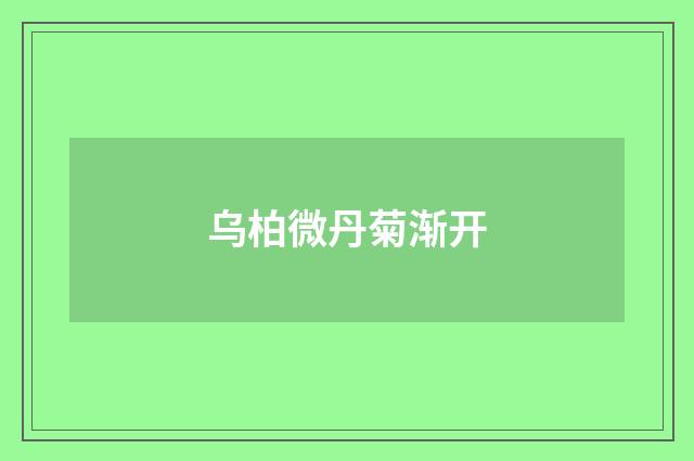 乌柏微丹菊渐开