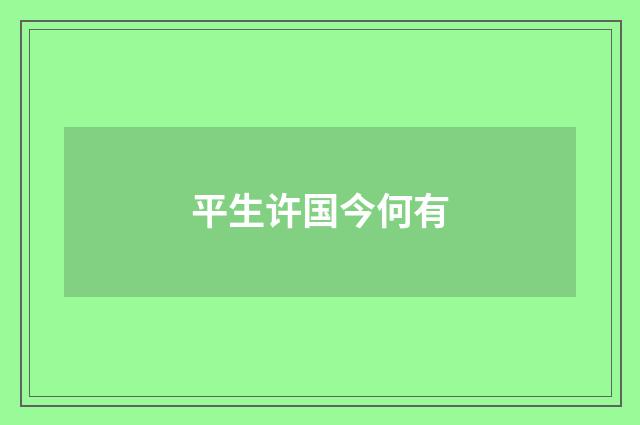 平生许国今何有