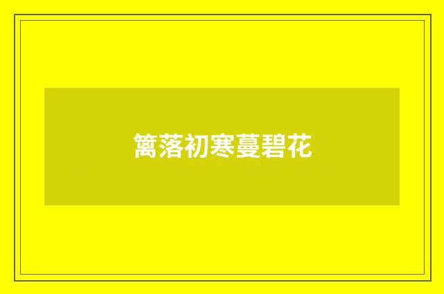 篱落初寒蔓碧花