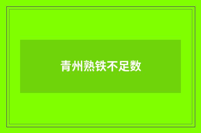 青州熟铁不足数