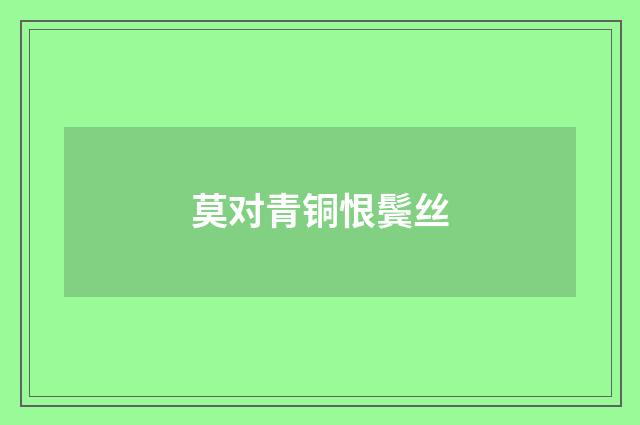 莫对青铜恨鬓丝