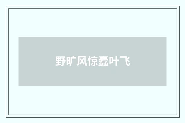 野旷风惊蠹叶飞