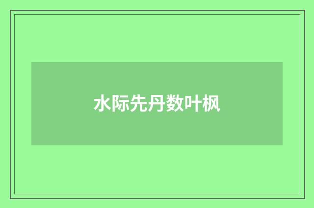 水际先丹数叶枫