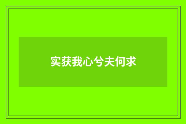 实获我心兮夫何求