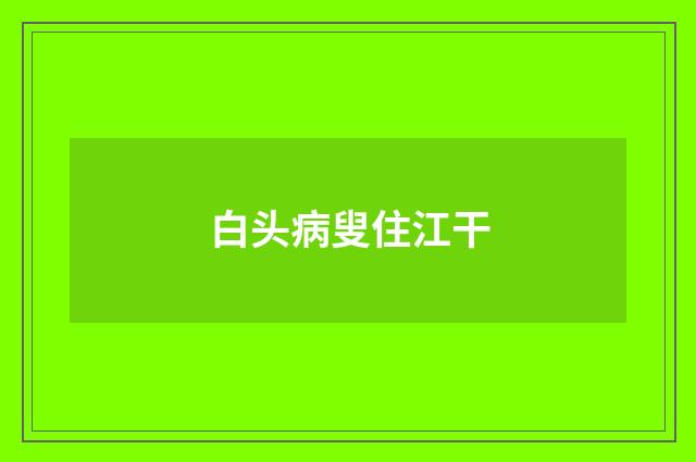 白头病叟住江干