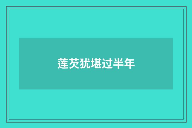 莲芡犹堪过半年