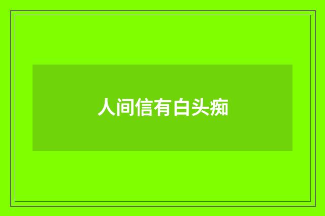 人间信有白头痴