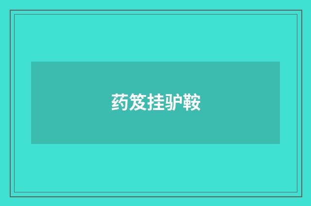 药笈挂驴鞍