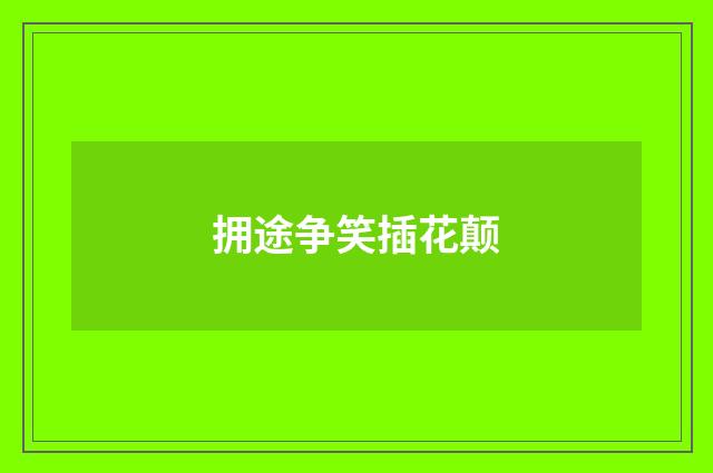 拥途争笑插花颠