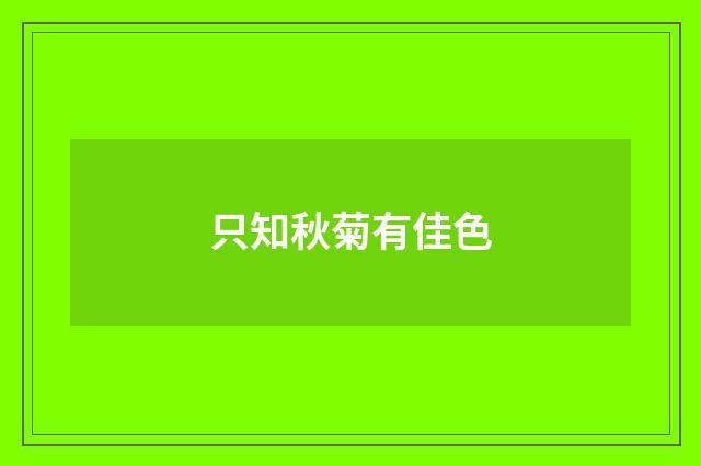 只知秋菊有佳色