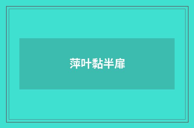 萍叶黏半扉