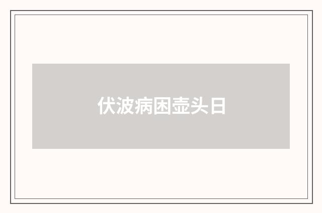 伏波病困壶头日