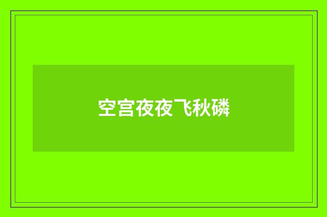 空宫夜夜飞秋磷