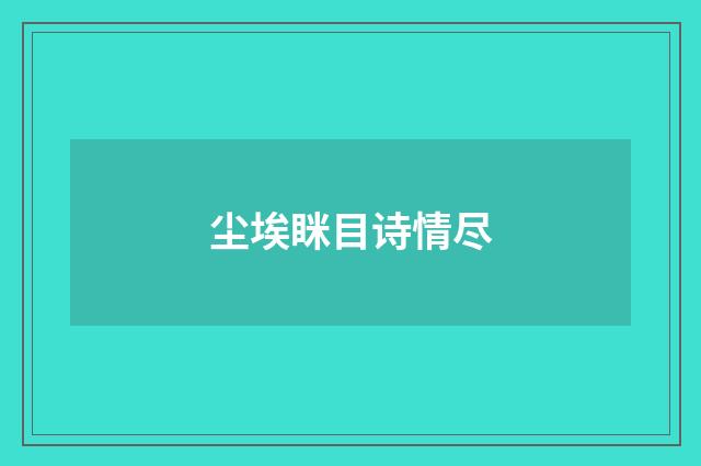 尘埃眯目诗情尽