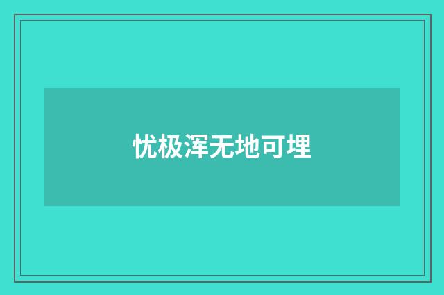 忧极浑无地可埋