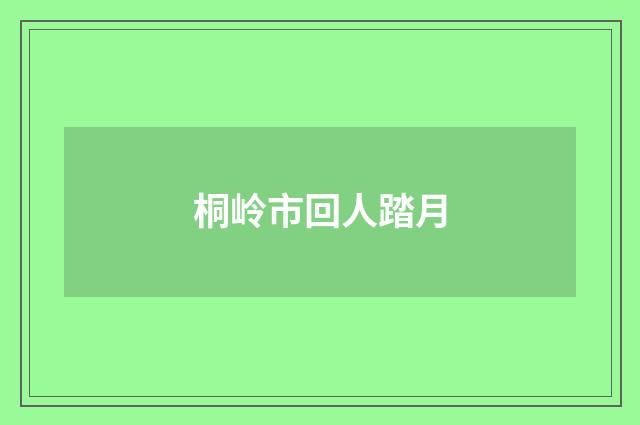 桐岭市回人踏月