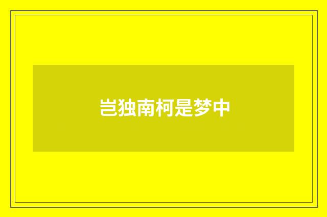 岂独南柯是梦中