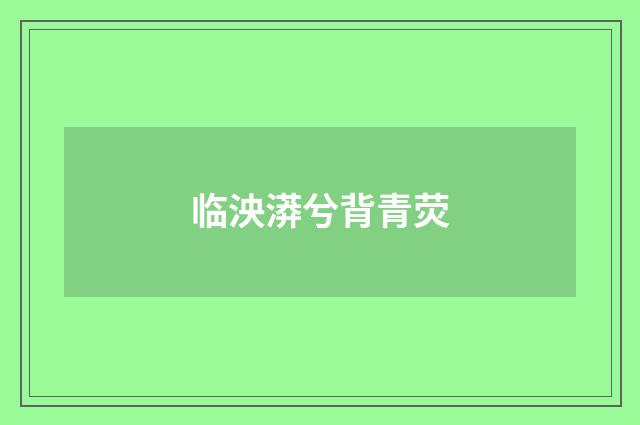 临泱漭兮背青荧
