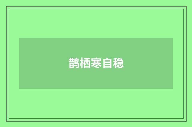 鹊栖寒自稳