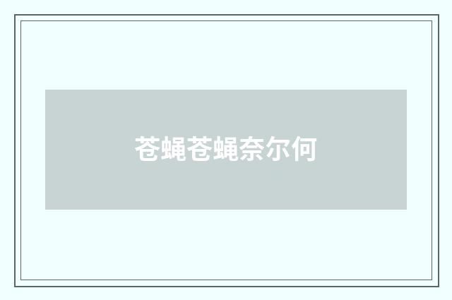 苍蝇苍蝇奈尔何