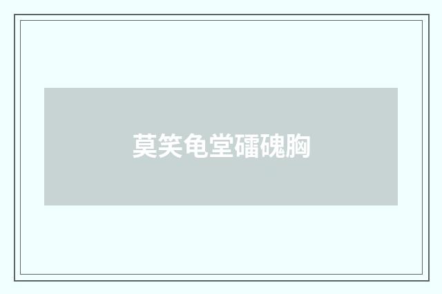 莫笑龟堂礌磈胸