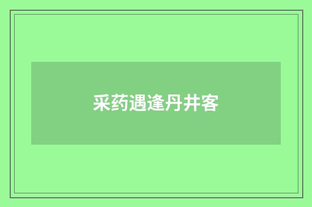 采药遇逢丹井客