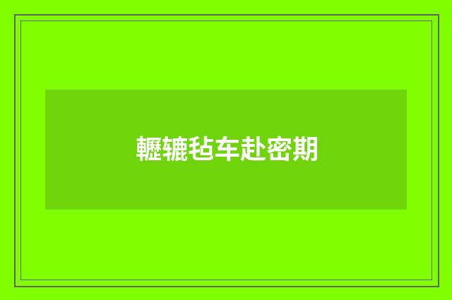 轣辘毡车赴密期