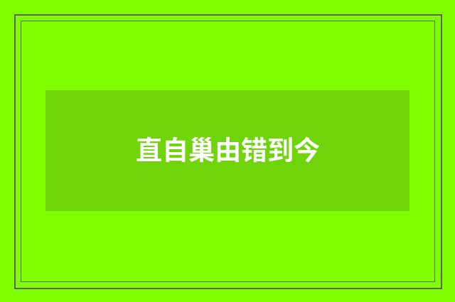直自巢由错到今