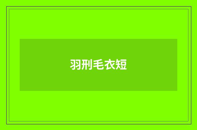 羽刑毛衣短