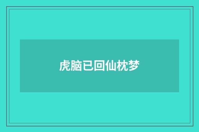 虎脑已回仙枕梦